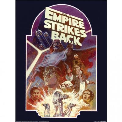 Empire Strikes Back Block Print