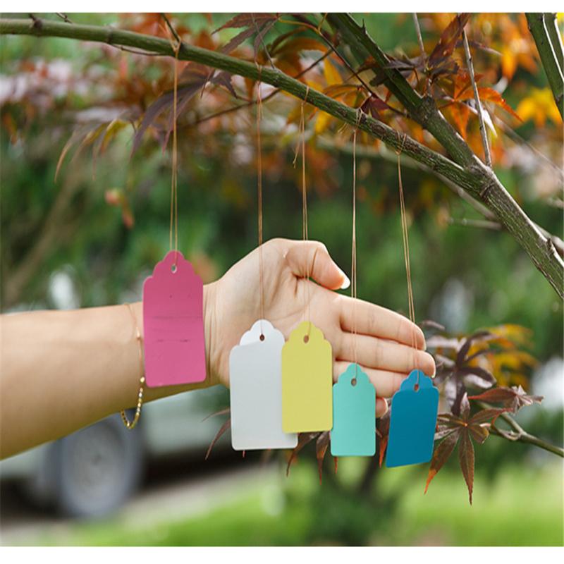 100pcs Plant  Label Plastic Pvc Hanging Tag Marker Waterproof Garden Flower Gift