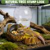Automatic Reptile Water Dish Feeding Reusable Container Creative Feeder Station Ornament Drinking Tool For Snakes Tortoise