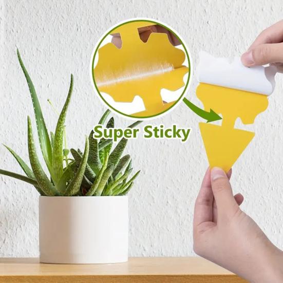 6Pcs Double Sided Sticky Board Odorless Waterproof Fruit Fly Trap UV Resistant Child Pet Safe Plant Yellow Sticky Traps for Indoor Outdoor Kitchen