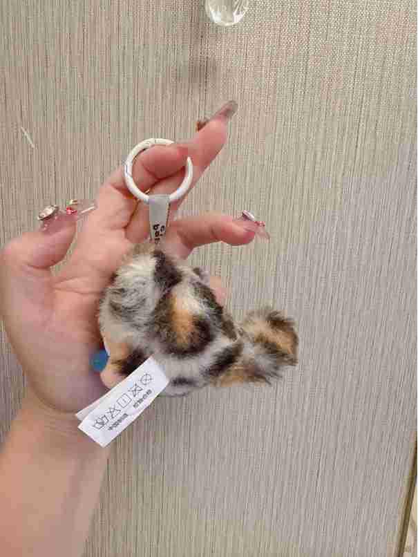 Little Leopard Cat Plush Keychain Blind Box Series - Trendy Vinyl Doll and Claw Machine Toy