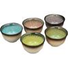 Utsuwa Roan Mino Ware Colorful Five-Color Teacup Set 210ml Capacity 5 Pieces Japan Made