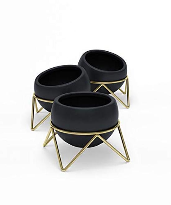 Umbra Potsy Planter 3pcs Set Black x Gold Planter Pot Pot Houseplant Gardening 210131911137 Black x Gold