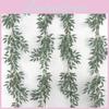 Eucalyptus Leaf Foliage For Wedding Backgrounds Outdoor Decoration Photography