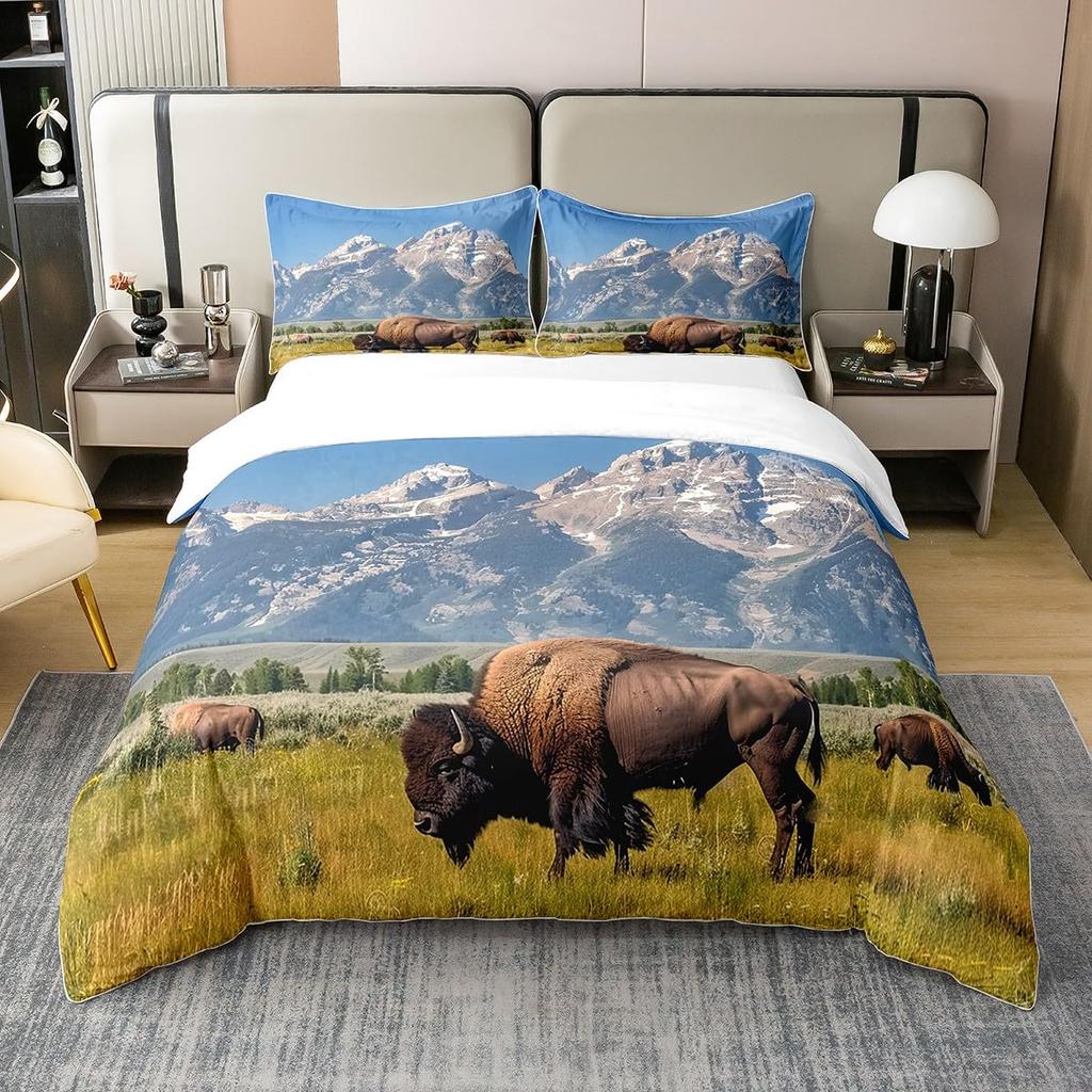 Prairie Duvet Cover Set for Teens Queen Size Quilt Covers Lightweight Down B Room Decor 2 Pillowcases 1 Duvet Cover No Comforter