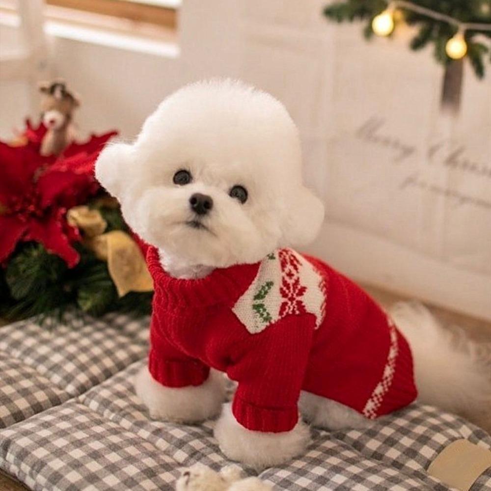 Christmas clothes puppy dog two-legged sweater medium and small dog warm knitted sweater autumn and winter cat pet clothes