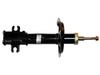 Ft11012 Fast Shock Absorber Front /R Oil
