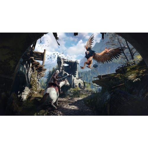 The Witcher 3 Wild Hunt Game of the Year Edition [CERO Rating "Z"] - PS4