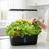 Hydroponics Growing Machine Easy To Use Convenient Hydroponic Planter Grower
