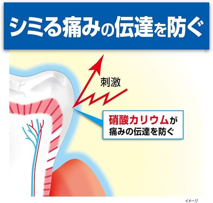 Kobayashi Pharmaceutical Medicinal Toothpaste Haumel Sensitive Toothpaste Fresh Mint 100g X 2 Pack