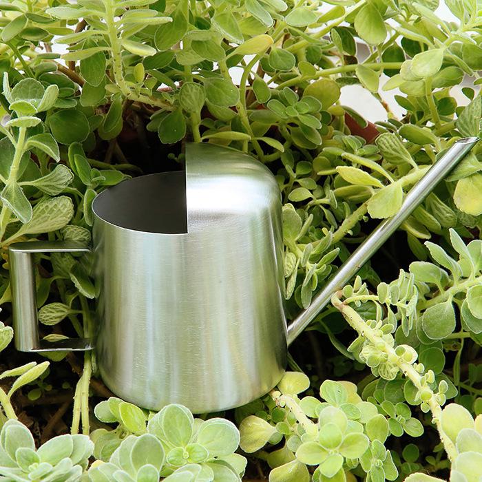 300ML Stainless Steel Watering Can with Long Spout for Plants and Succulents - Ideal for Kids and Mini Gardens