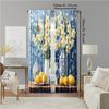 2 Pcs   Versatile Polyester Transparent Curtains for Home Decoration Lemon Still Life with Elegant Vases for Use In Bedrooms and