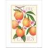 Tall Boy Prints Yellow Peaches Print