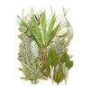 35Pcs Natural Pressed Dried Leaves Set For Candle Making Jewelry Making Art Craft Bookmarks Crafting Scrapbooking
