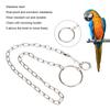 Stainless Steel Split Foot Chain for Large Parrot Pet Training Anklet Ring for Birds Parrots