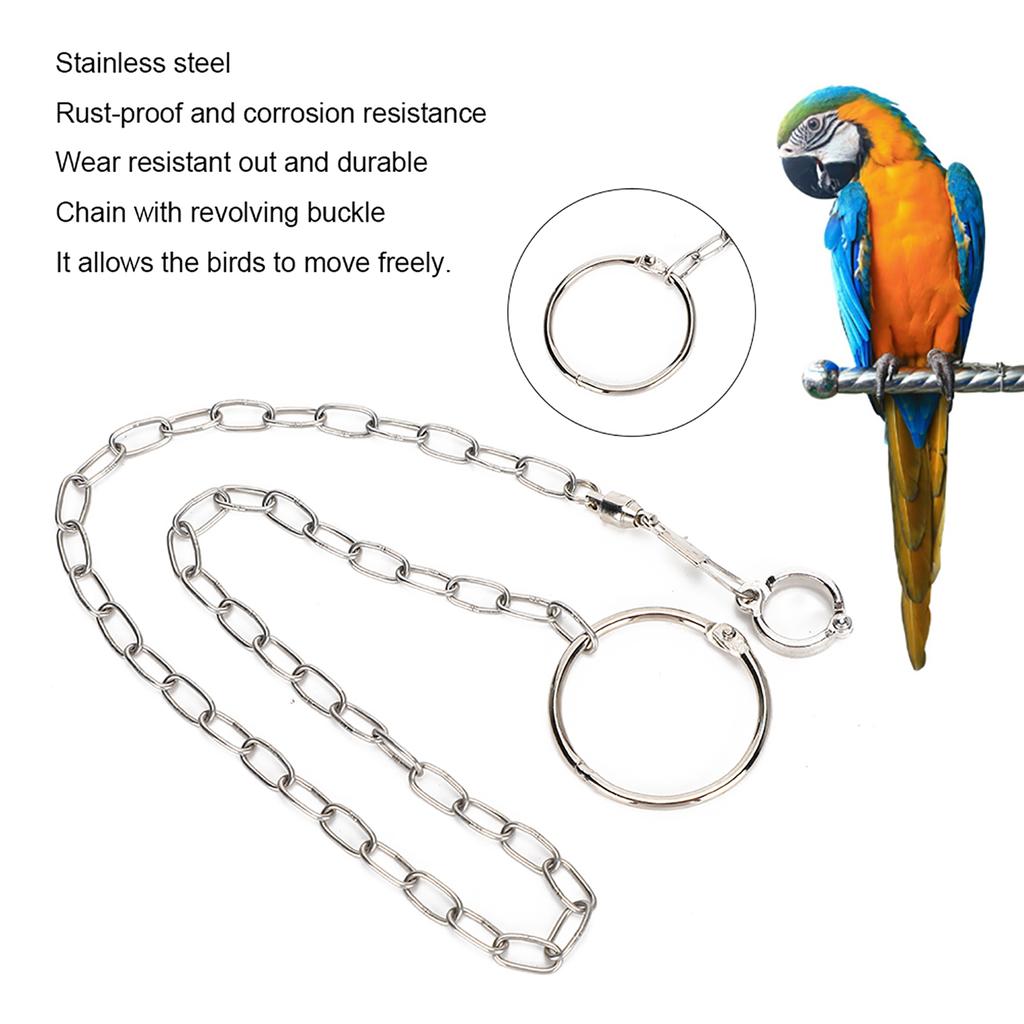 Stainless Steel Split Foot Chain for Large Parrot Pet Training Anklet Ring for Birds Parrots