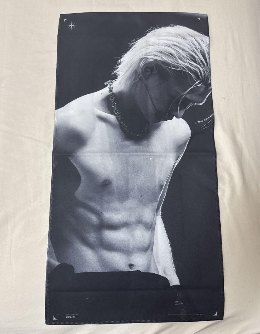 

[USED] Felix slogan stray kids