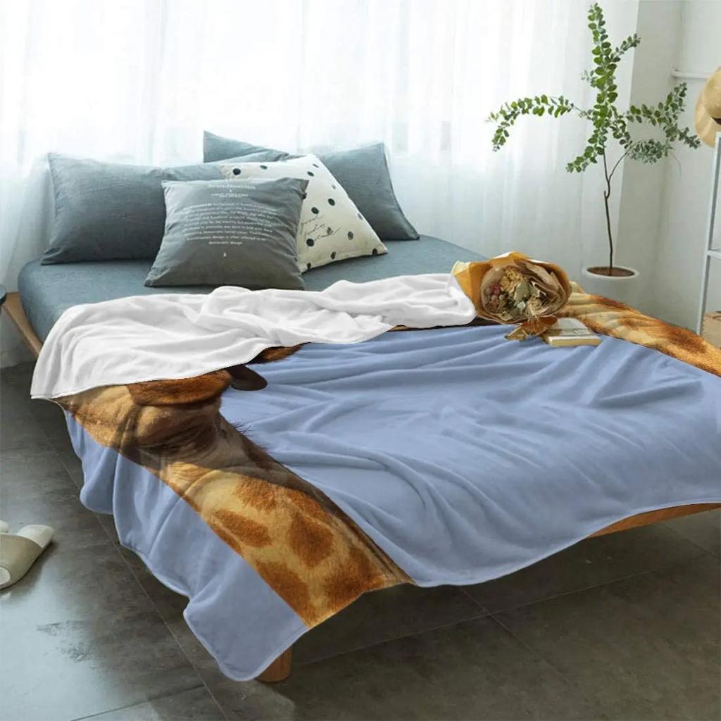 Flannel Fleece Bed Blankets Lightweight Cozy Throw Blanket for Couch Sofa Bedroom Adults KidsFire Basketball Twin Size 40"x50"