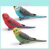 Wildtier Vogel Simulation Pvc Modell Papagei Spielzeug Für Kinder Lernspiel