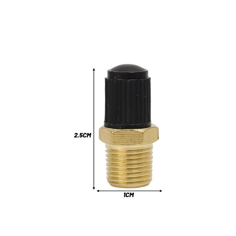 1/2pcs Professional 1/4 NPT 1/8 NPT M10 Car Tire Valve Core Air Compressor Tanks Fill Valve Anti-Corrosion Schrader Valves