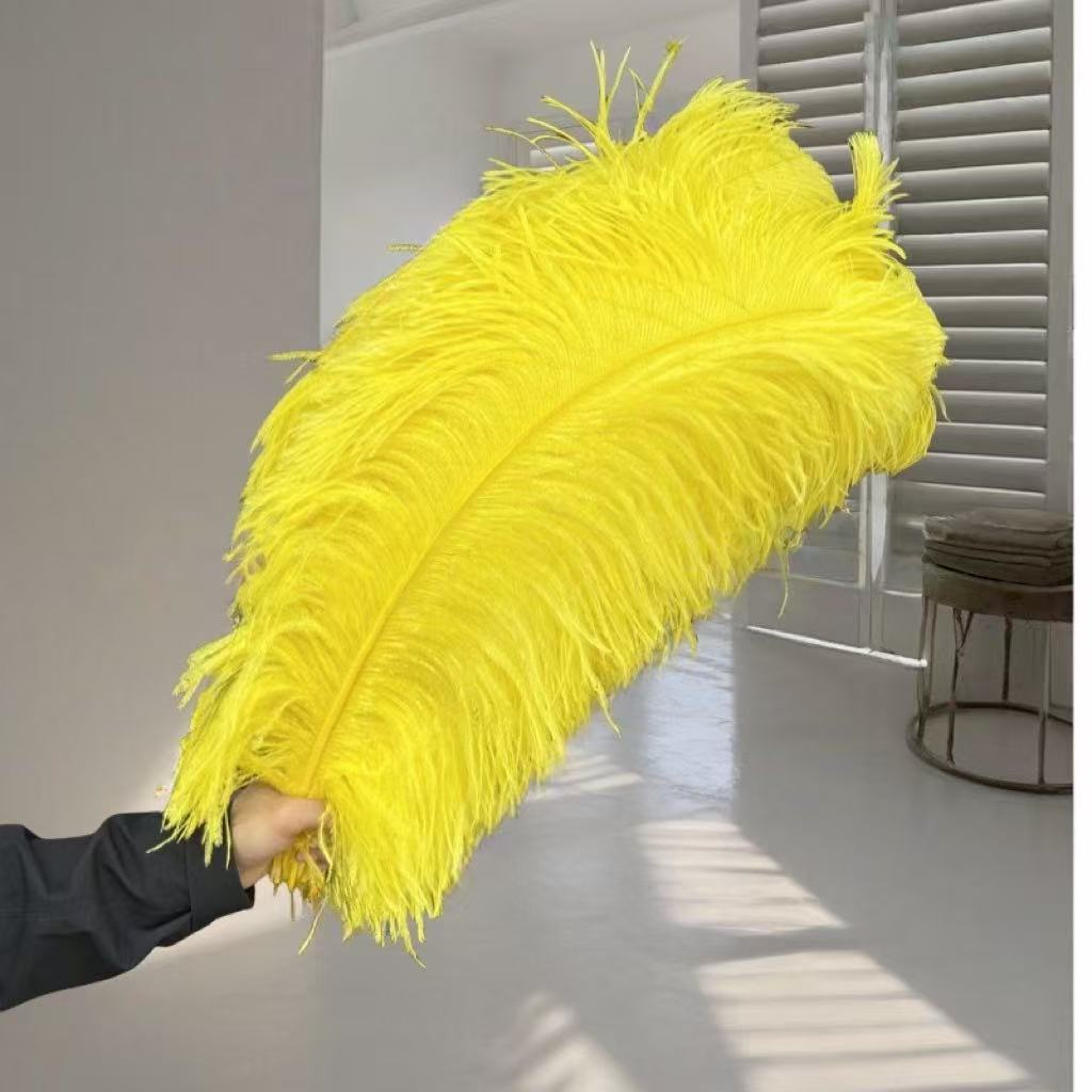 1pcs Ostrich Hair 65-70Cm Photo Feather Wall Wedding Road Guide Decorative Props Colored Feathers