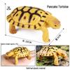 Wild Animal Model: Children's Simulation Turtle Gift Set - Tortoise Variants & Spiderweb Design.