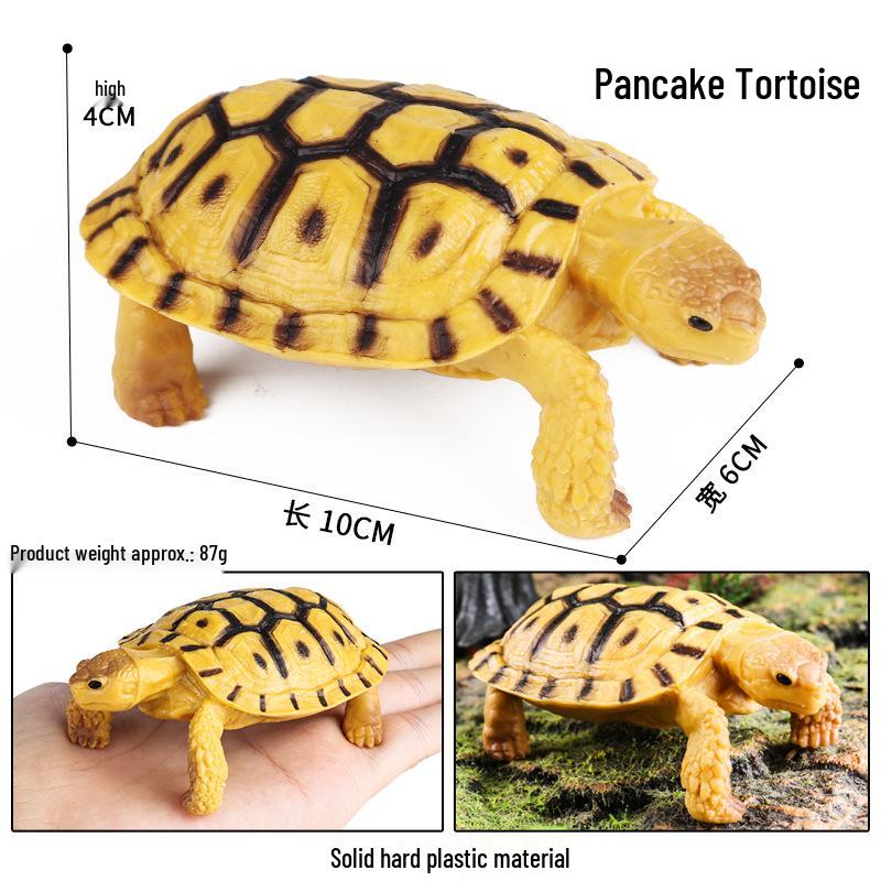 Wild Animal Model: Children's Simulation Turtle Gift Set - Tortoise Variants & Spiderweb Design.