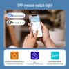 Bluetooth Mesh 2.0 Dual-Control Smart System Wireless Switch, Mijia APP Compatible, Triple Switch Ready.
