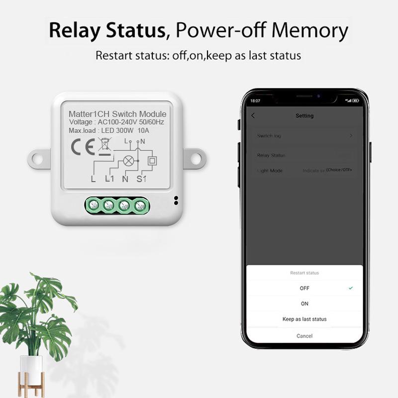 Smart HomeKit WiFi Voice-Controlled Hidden Switch