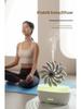 Steamboat Jellyfish Aromatherapy Machine and White Noise Oil Atomizer