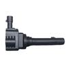 Trumpchi GAC Aion, GAC Group Ignition Coil High Voltage Pack F01R00A090