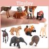 Cheetah Miniature Animal Model Pvc Collection For Dioramas And Collectors
