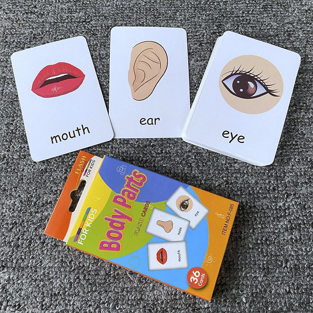 Kids 36PCS/Set Animal Shape Color Time Flash Card Montessori Early Education Learning Educational Toys For Children Gifts