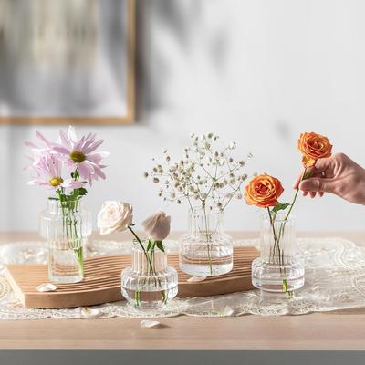 Creative Nordic Water Nourishing Green Plants Transparent Vase Desktop Hydroponic Fresh Flower Vase Home Desktop Decorations
