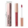 12 Farben Matte Velvet Lip Glaze Langanhaltender, wasserfester, nicht klebriger, wischfester flüssiger Lippenstift Valentinstagsgeschenke