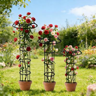 Garden Trellis Umbrella Shape Vertical Climbing Plant Stand for Rose Clematis Vine Flower Outdoor Pea Bean Tomato Courtyard