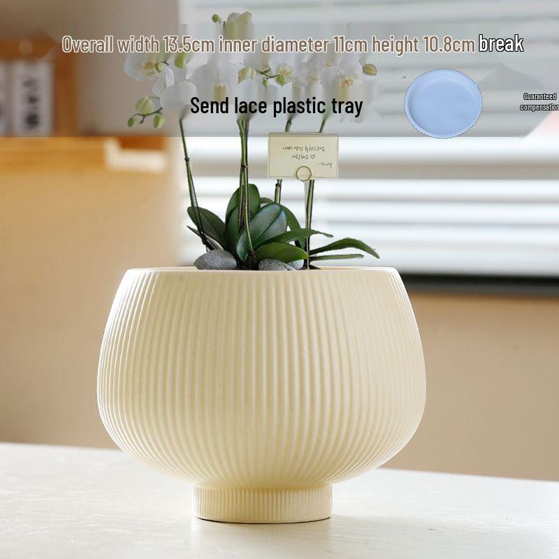 Ceramic Flower Pot with Tray for Orchids and Succulents