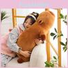 Soft Short Plush Capybara Cuddle Pillow Ideal For Sleepovers And Bedroom Decor 50cm And 90cm Sizes