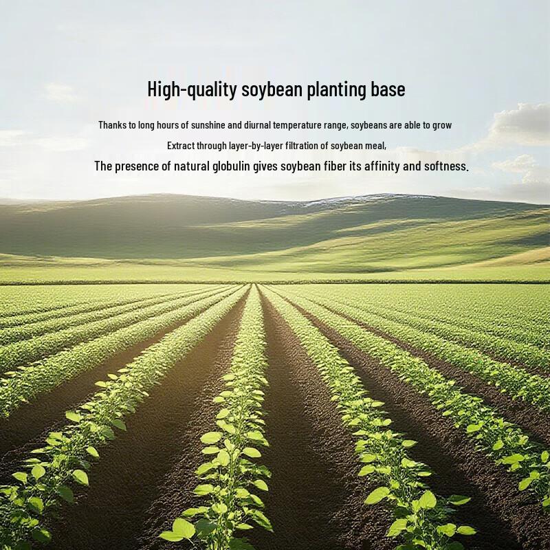 HLA 7A Antibacterial Soybean Fiber Quilt