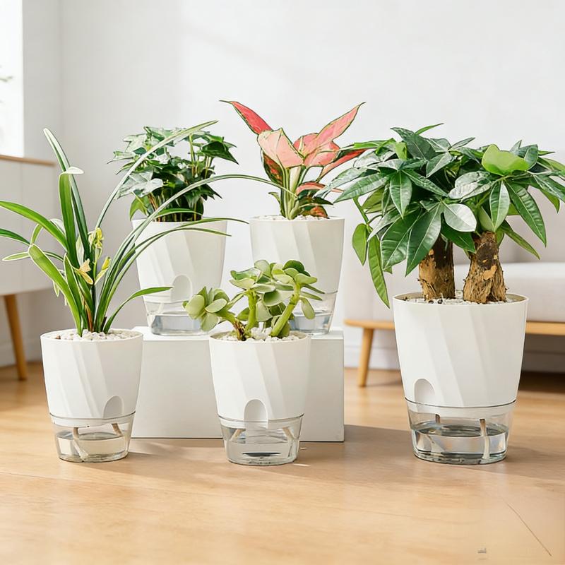 Home Use Thickened Transparent Plastic Self-Watering Green Radish Flower Pot Hydroponic Special Indoor Green Plant Container wit