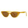 Tr1016 Cat-Shaped Retro Sunglasses, The Same Polarized Sunglasses For Men And Women, Modern Street Shots Ins