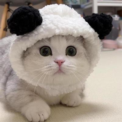 1/2/3PCS Funny Panda Hat For Pet, Warm , New Year Party, Christmas Cosplay Accessories, Photo Props, Headwear For Dog And Cat