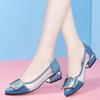 Thick Heel Single Shoes Sandals Women's Real Soft  Mesh Pointed Toe Middle-heel Mother Shoes Women's Summer Shallow Sandals