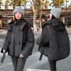 Trendy girl, small down cotton clothes to keep warm in winter, yellow hooded ears jacket design, new bear