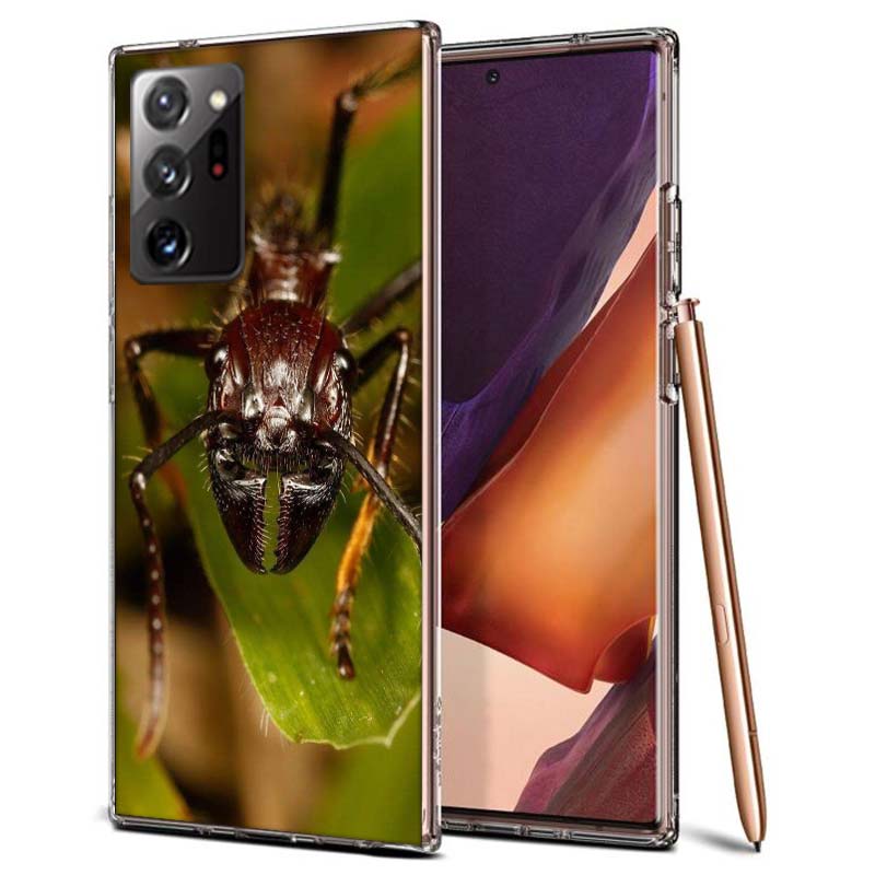 

Red Fire Ants, Worker Ants Phone Case for Samsung A55 A35 A25 A15 A07 A05S A16 A17 A26 A36 A37 A56 A57 Galaxy Note 20 10 A50S A7 Samsung Note 20