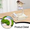 Bird Perch Stand Training Wood Exercise Accessories Rocking for Birds Budgies