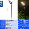 Lishi Outdoor Solar Path Lights - Warm White (2-Pack)