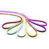 Beigong 220V LED Neon Flexible Strip Light