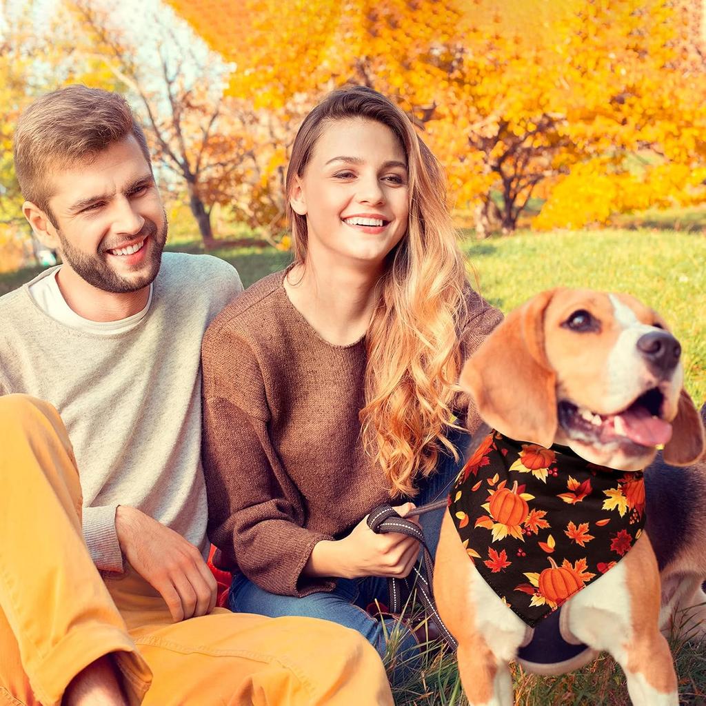 Xuniea 12 Pieces Fall Dog Bandanas Thanksgiving Day Bandanas for Dogs Maple Leaf Pumpkin Patterned Autumn Pet Triangle Kerchief Scarf Bibs for Small