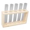 5 Test Tube Plant Terrarium Transparent Observe Growth Status Water Plant Holder with Wooden Stand for Herbs